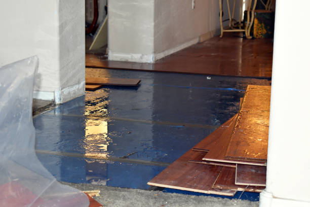 Professional Water Damage Restoration technician working in Hudson, IL